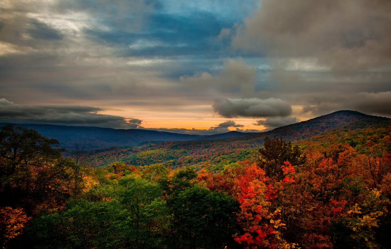 Фото обои осень, лес, пейзаж, горы, природа, фото, США, Virginia