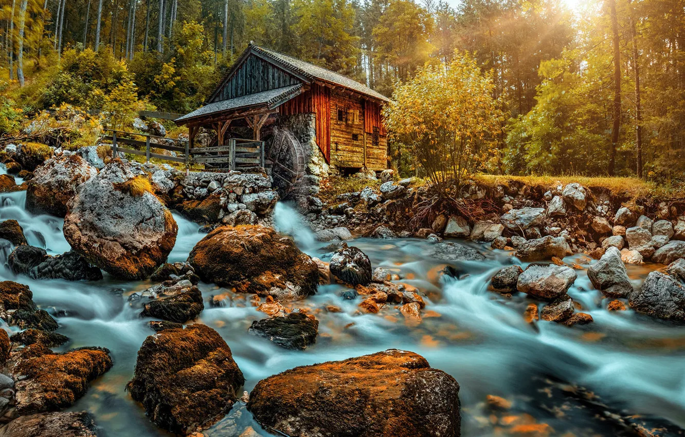 Фото обои лес, ручей, камни, склон, мельница, водоем, водяная