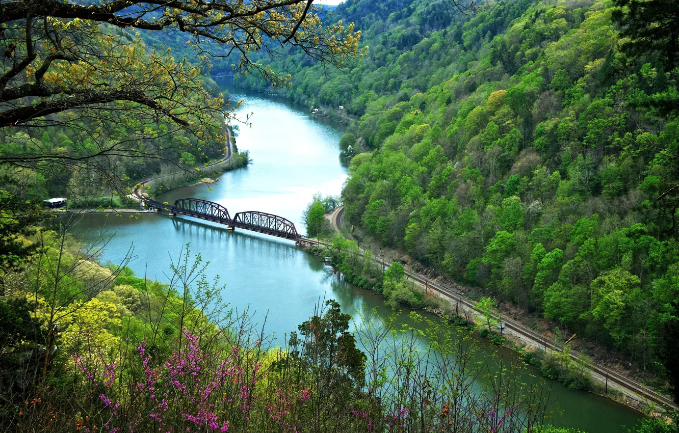 Фото обои осень, лес, цветы, горы, мост, река, склон
