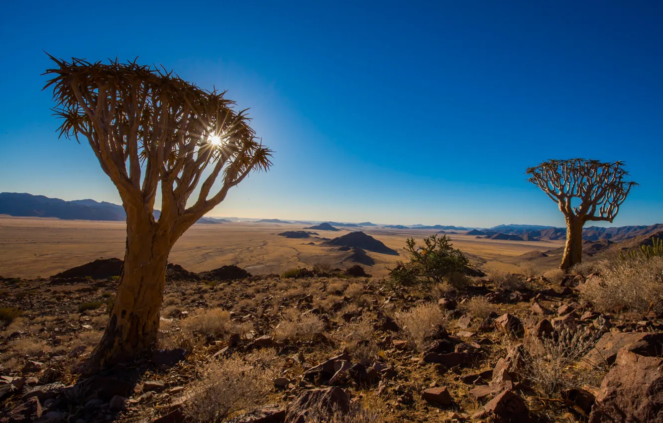 Фото обои Africa, Namib Desert, пустыня Намиб, Африке, Sossus Under Canvas