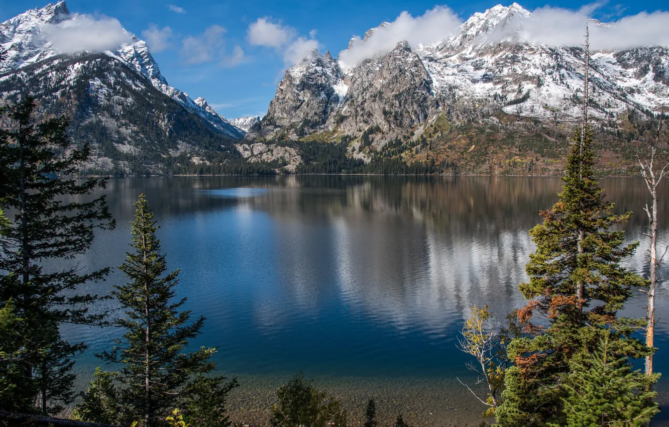 Фото обои деревья, горы, озеро, Вайоминг, Wyoming, Grand Teton National Park, Скалистые горы, Rocky Mountains