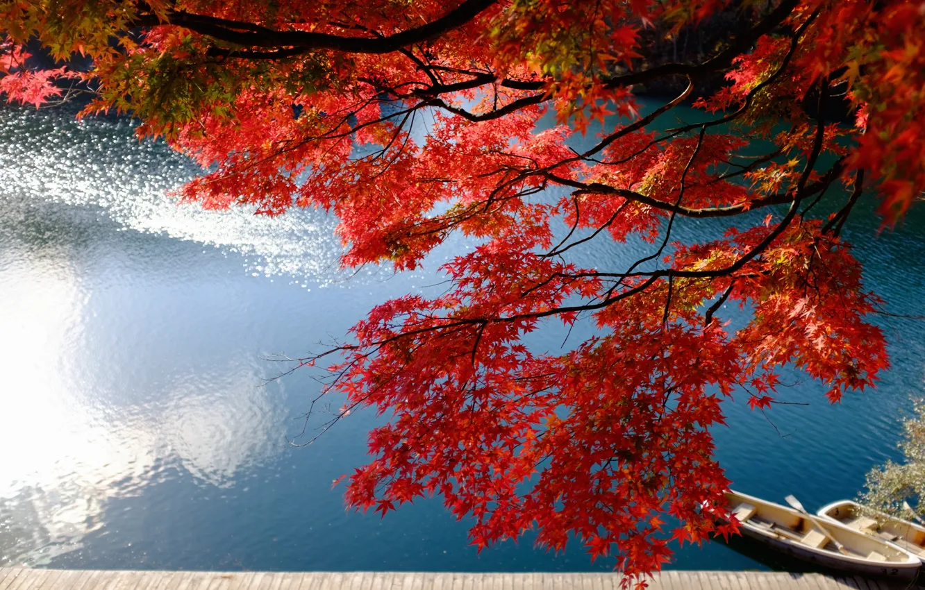 Фото обои осень, ветки, озеро, пристань, лодки, Япония, Japan, клён