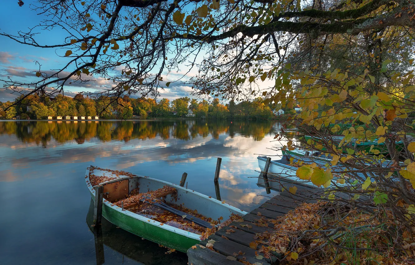 Фото обои осень, ветки, озеро, дерево, берег, листва, лодка, лодки
