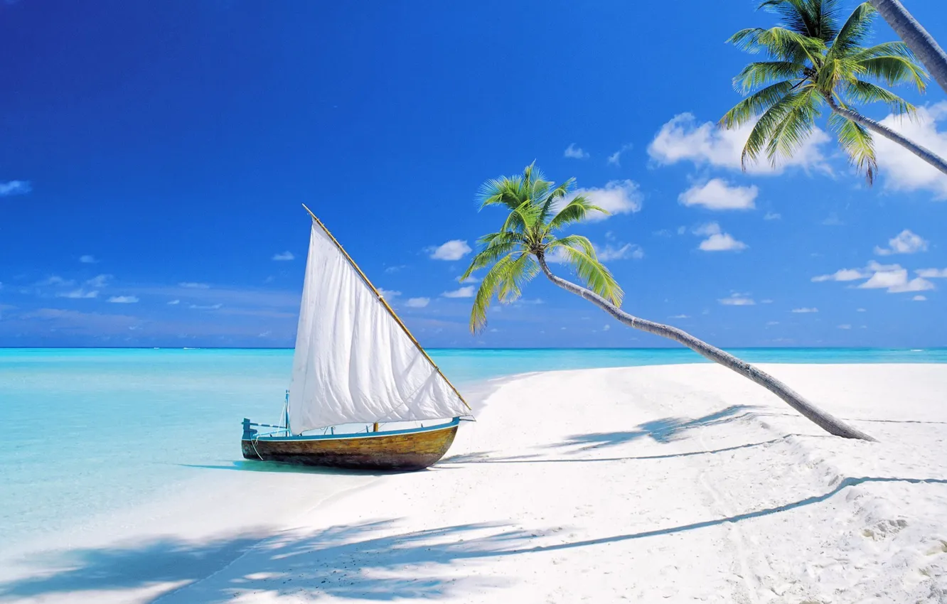 Фото обои пляж, пальмы, океан, лодка, остров, парус, Мальдивы