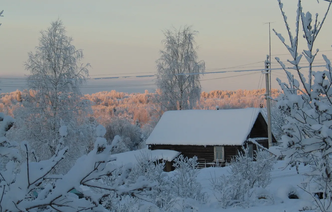 Фото обои снег, деревья, дом, Зима
