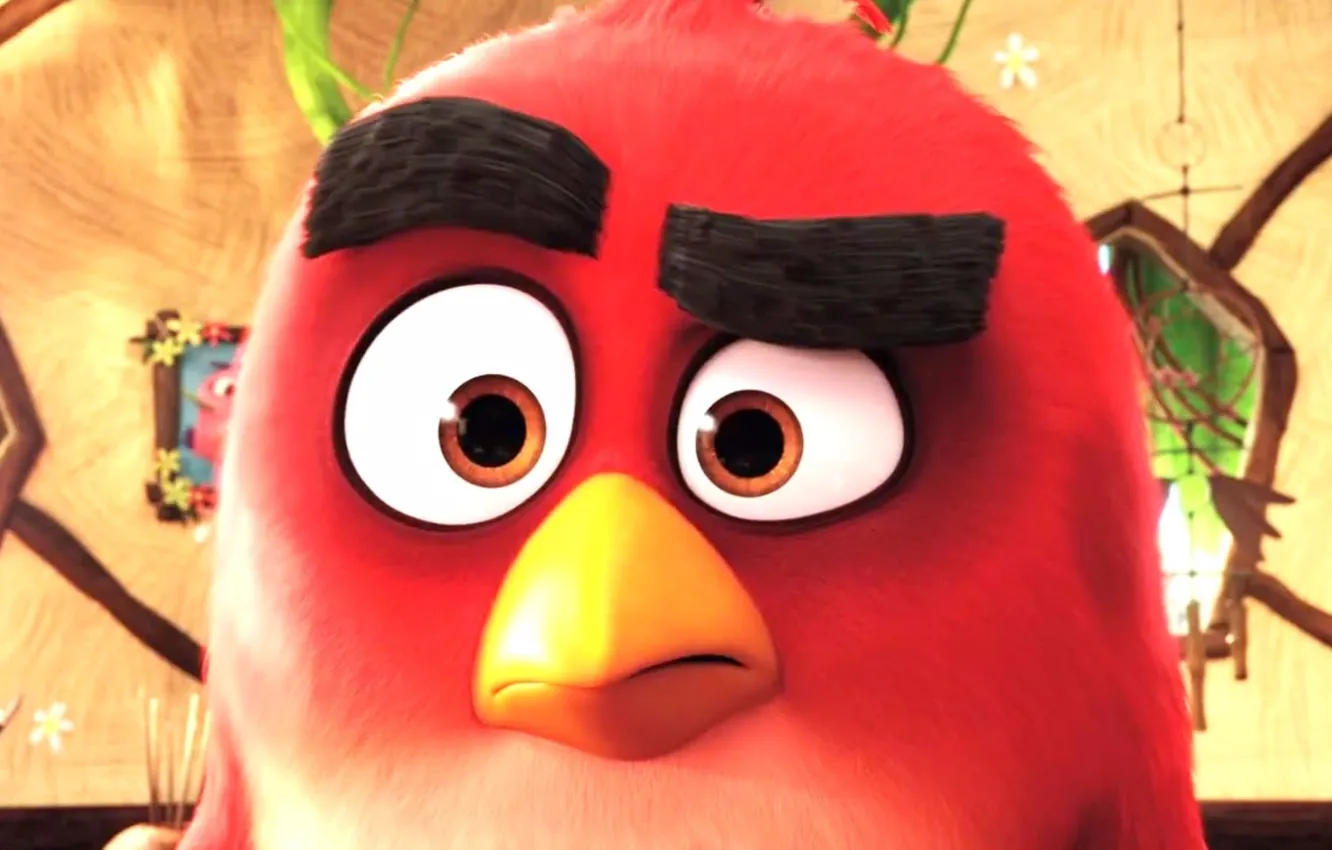 Фото обои cinema, Red, game, feathers, island, birds, cartoon, movie