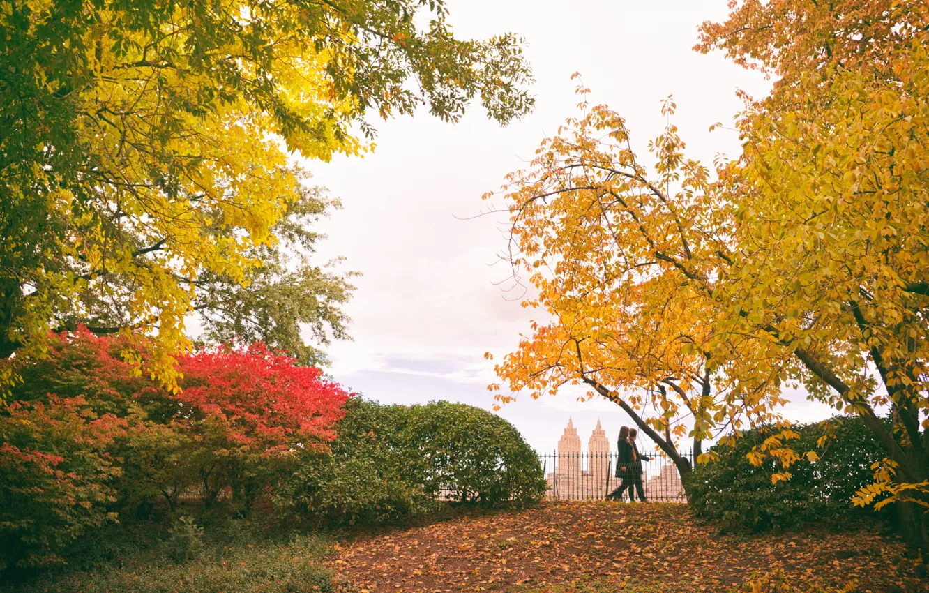 Фото обои USA, trees, New York, Manhattan, NYC, New York City, autumn, leaves