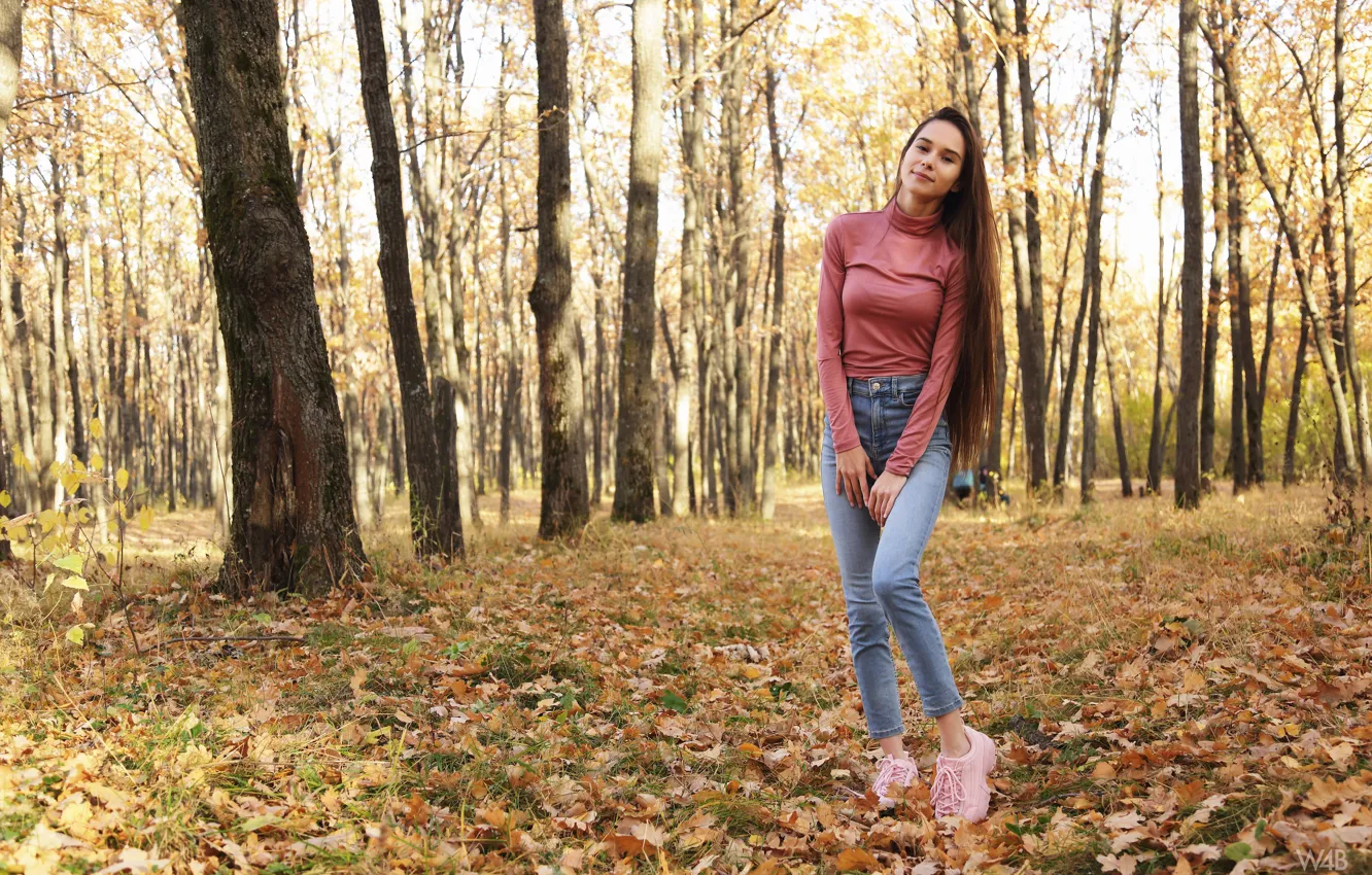 Фото обои осень, девушка, в джинсах, в лесу