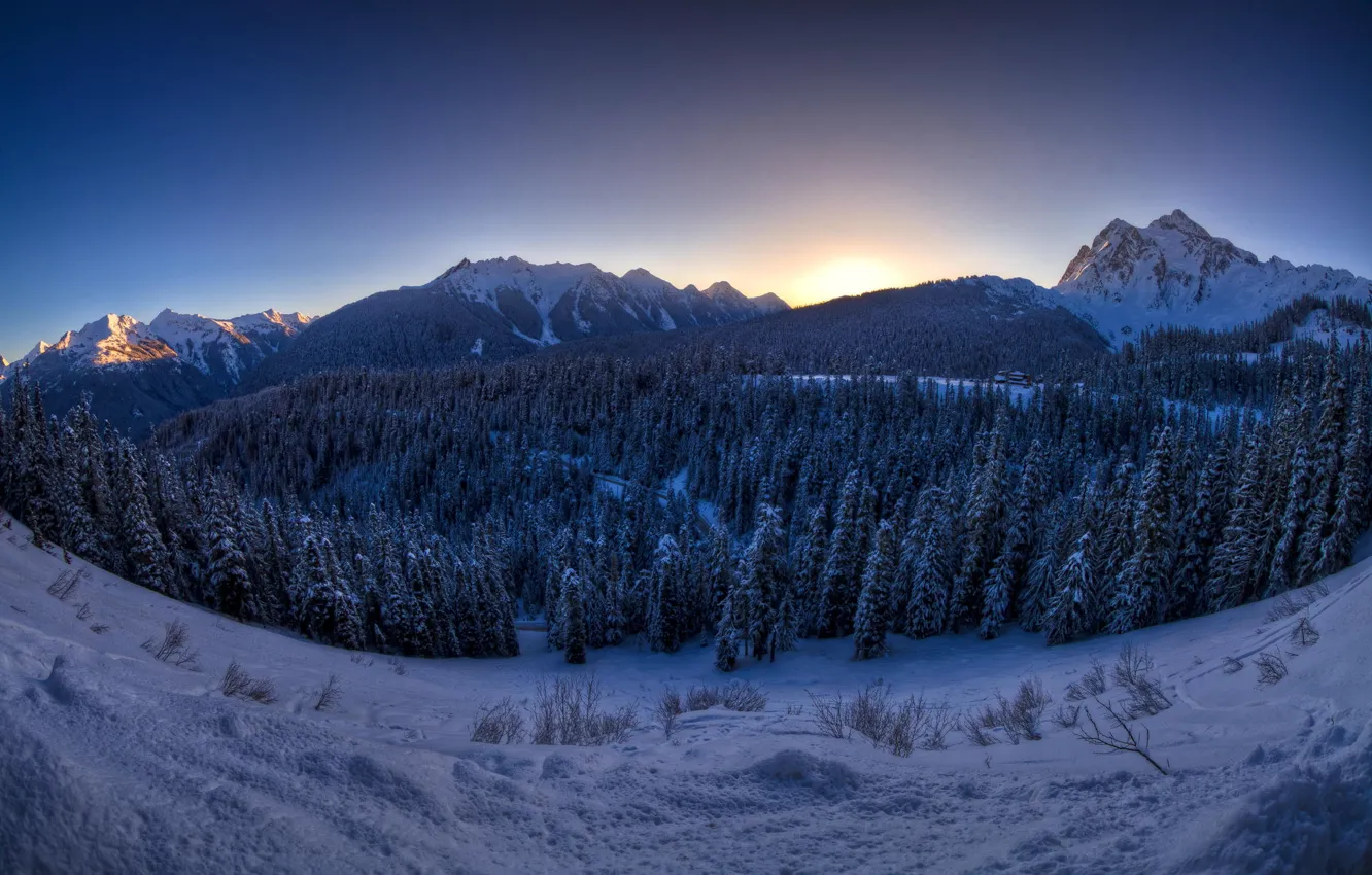 Фото обои зима, лес, снег, горы, елки, ущелье