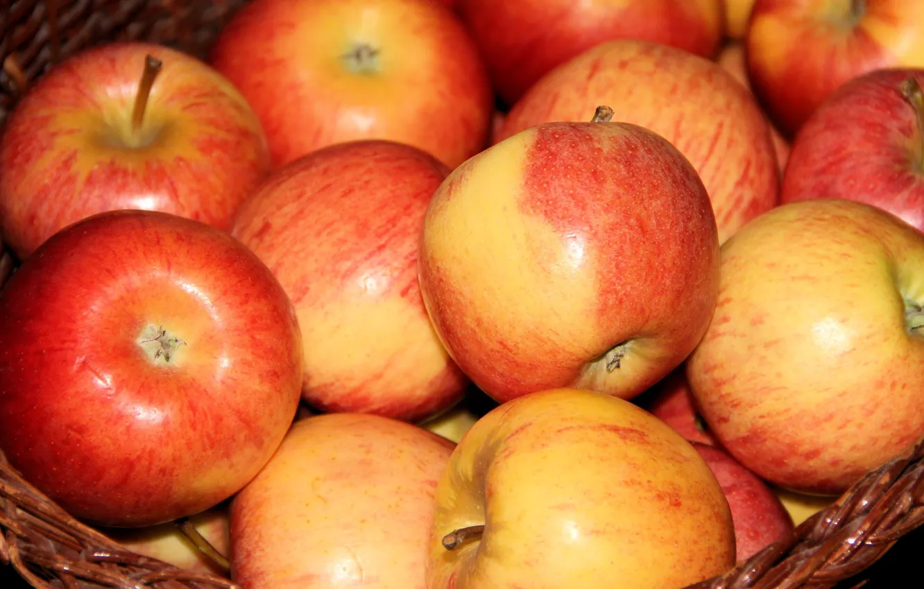 Фото обои крупный план, яблоки, фрукты, корзинка, много, красно-желтые
