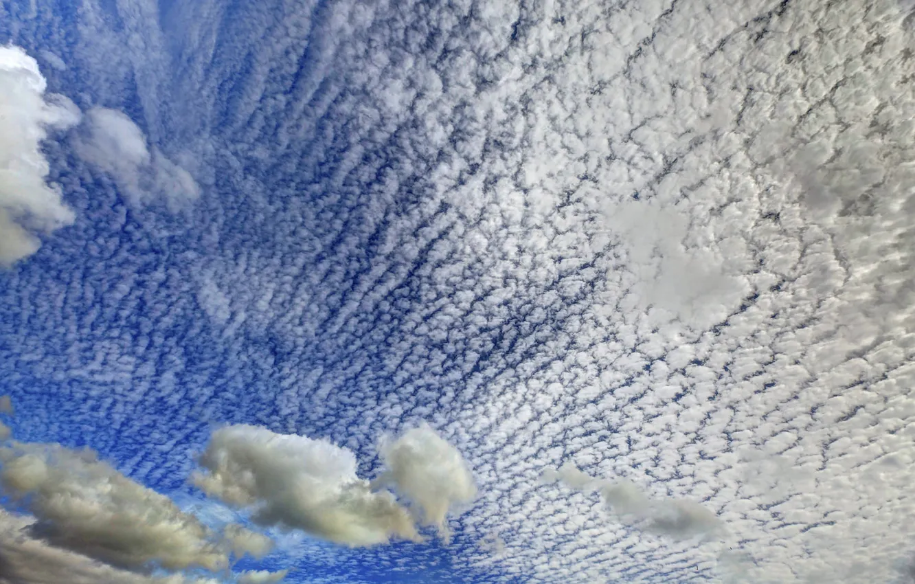 Фото обои небо, облака, высота