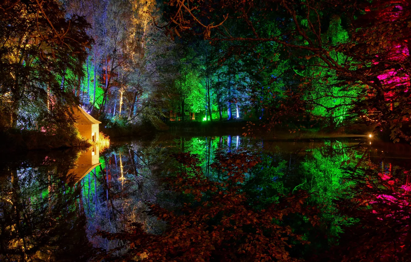Фото обои деревья, ночь, огни, пруд, парк, домик