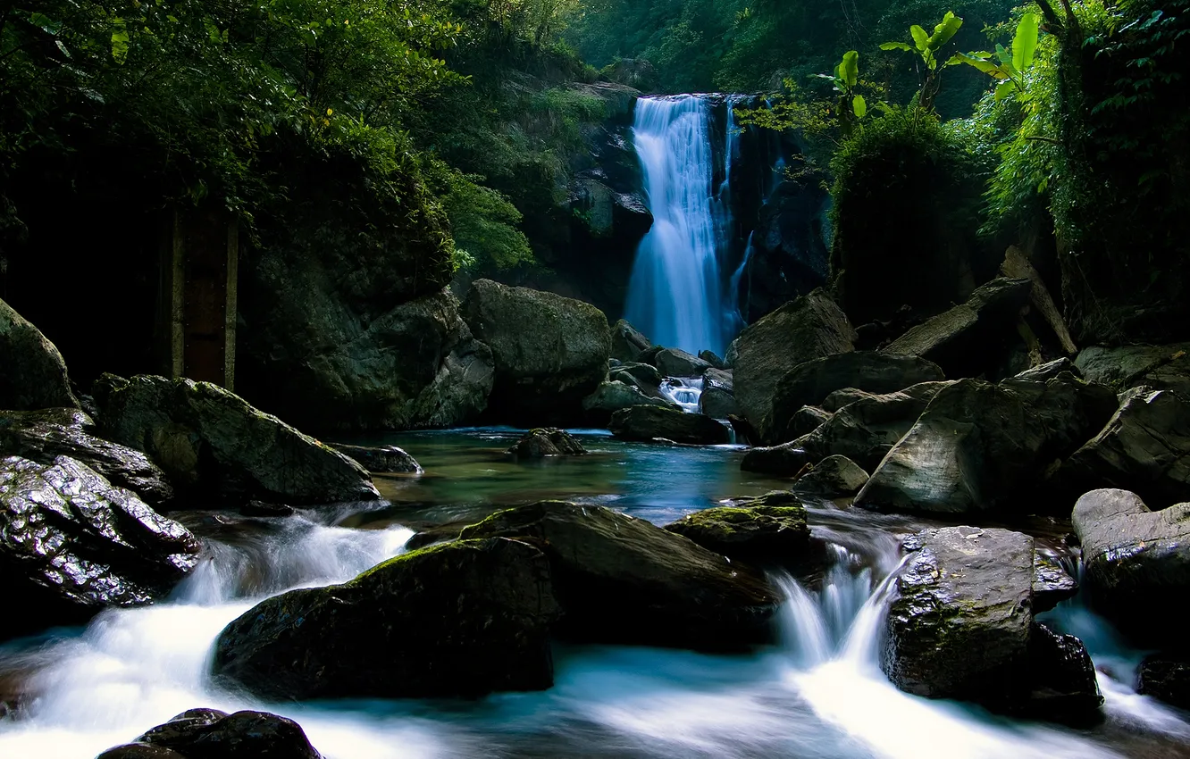 Фото обои лес, река, камни, фото, водопад, мох