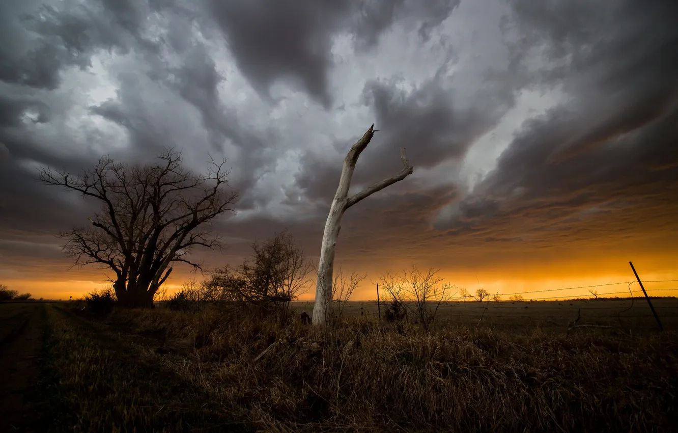 Фото обои поле, ночь, дерево, Nebraska Storm