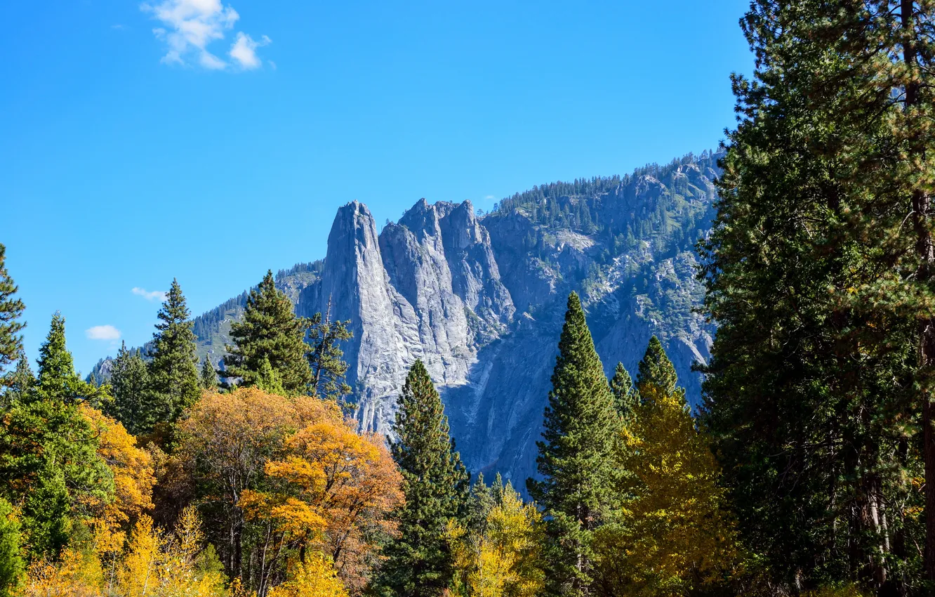 Фото обои осень, лес, небо, солнце, деревья, горы, скалы, голубое