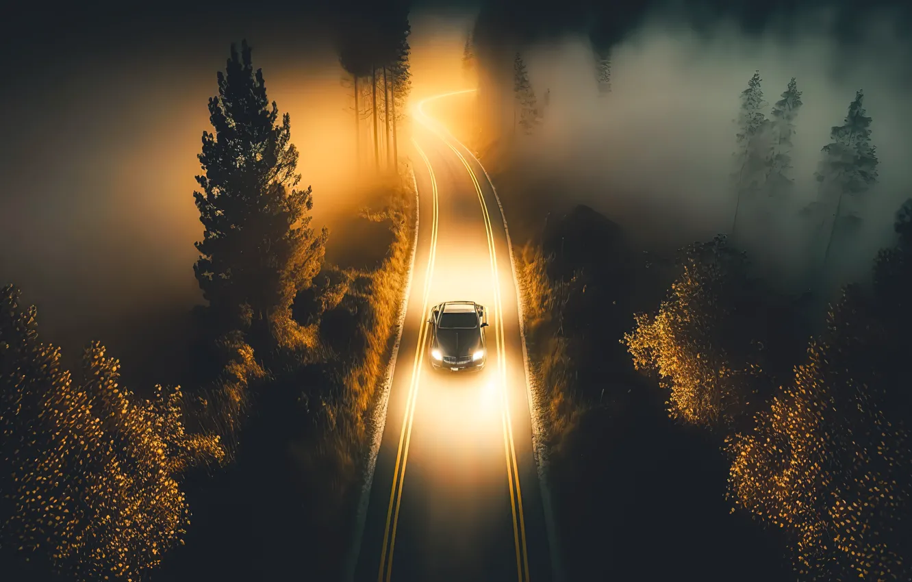 Фото обои дорога, car, машина, осень, лес, пейзаж, ночь, colorful