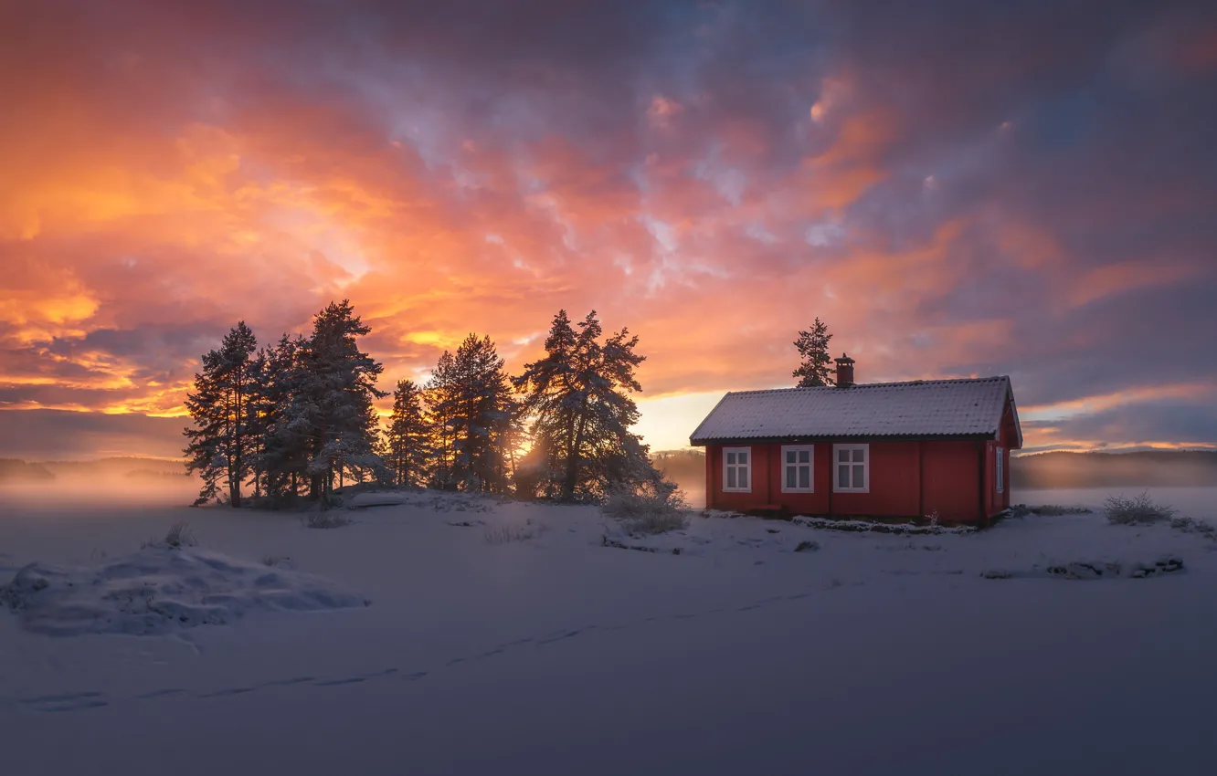 Фото обои зима, снег, Норвегия, домик, Ringerike
