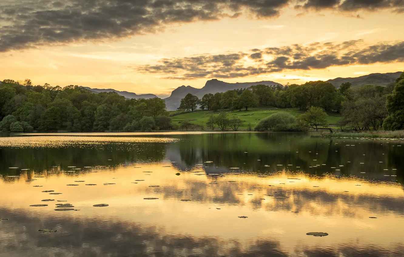 Фото обои лес, лето, небо, листья, облака, деревья, закат, горы