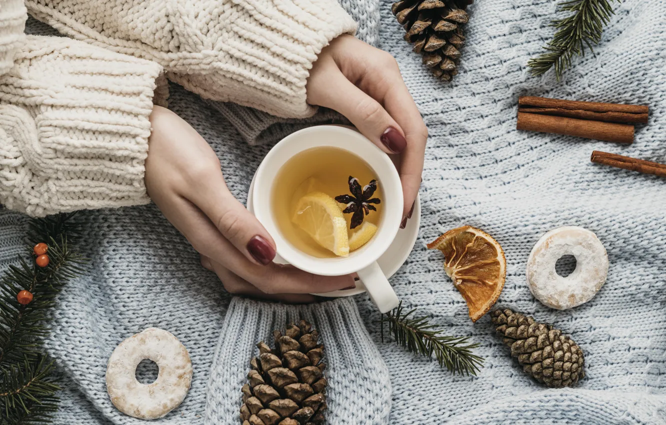 Фото обои чай, руки, печенье, чашка, Новый год, хвоя, шишки, лимоны
