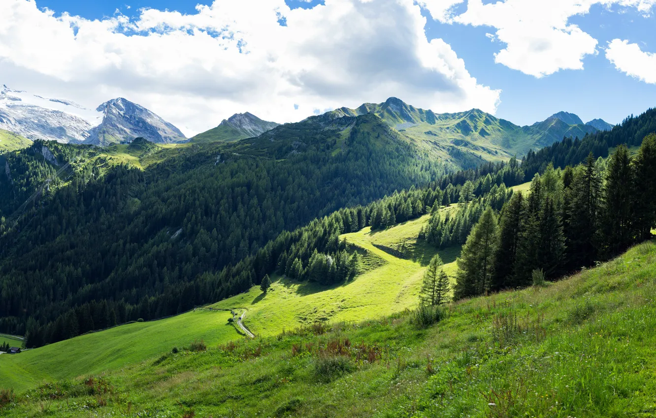 Фото обои зелень, лес, небо, трава, облака, деревья, горы, Австрия