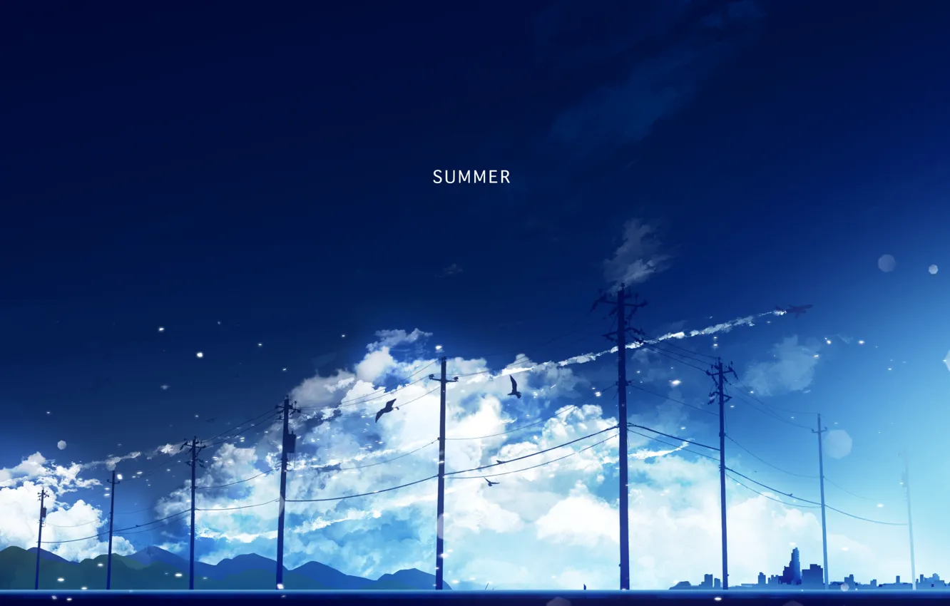 Фото обои лето, небо, птицы, самолет, Y_Y