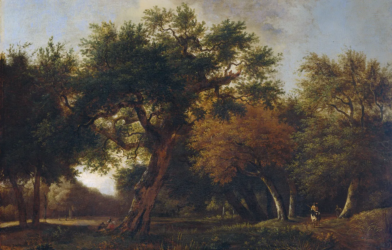 Фото обои пейзаж, масло, картина, Лес, холст, 1680, Jan van Kessel, Ян ван Кессель