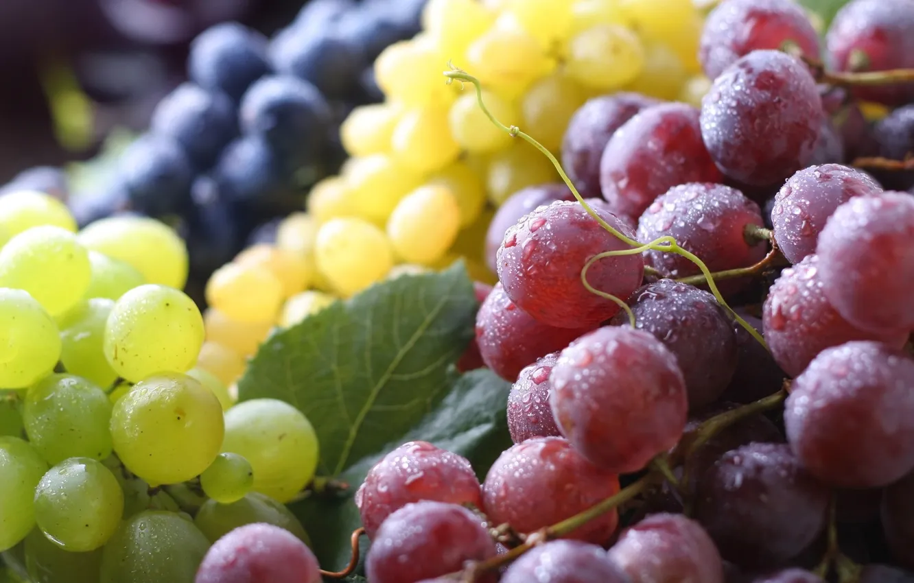 Фото обои макро, ягоды, виноград