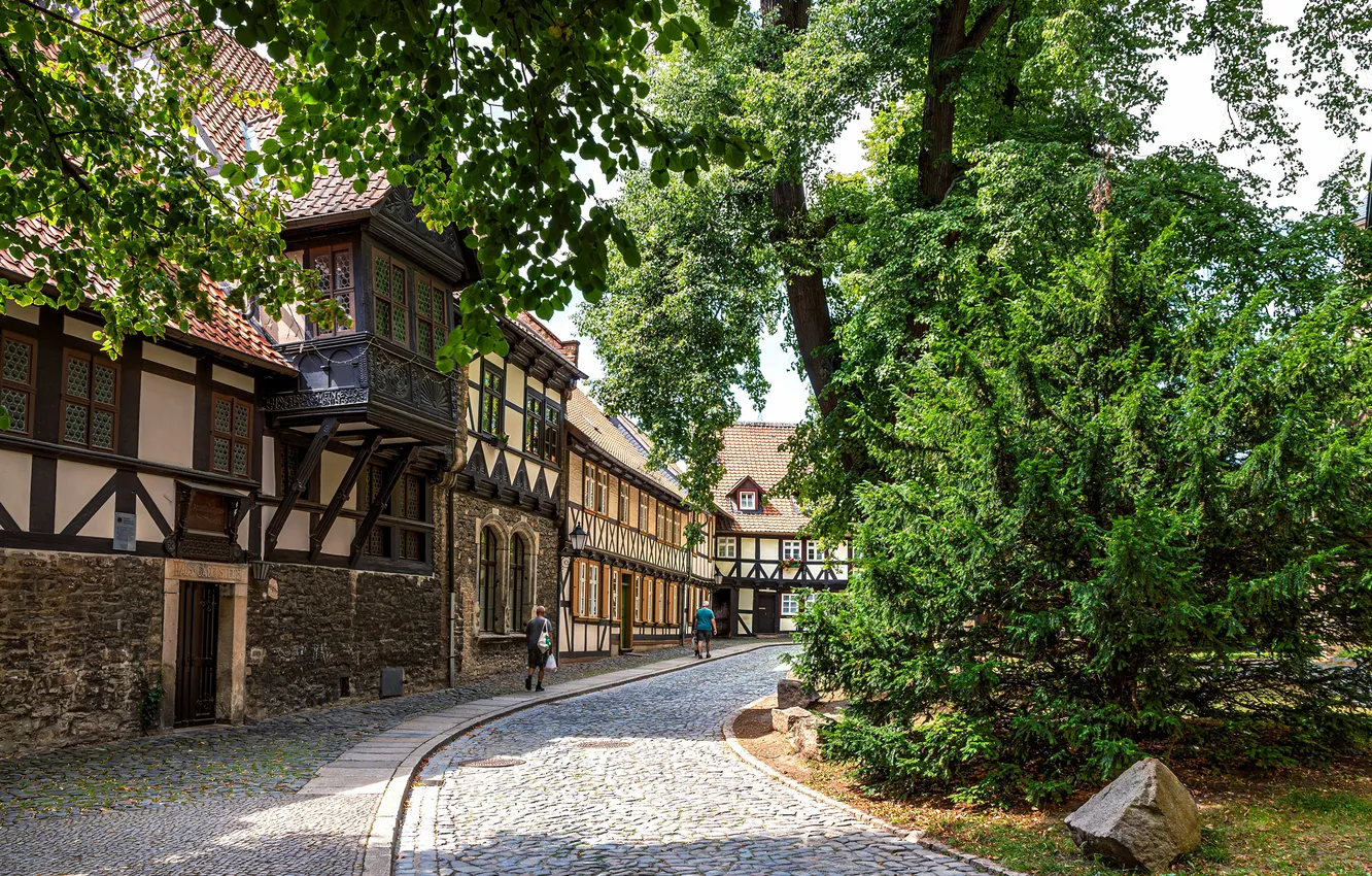 Фото обои деревья, улица, дома, Германия, Wernigerode