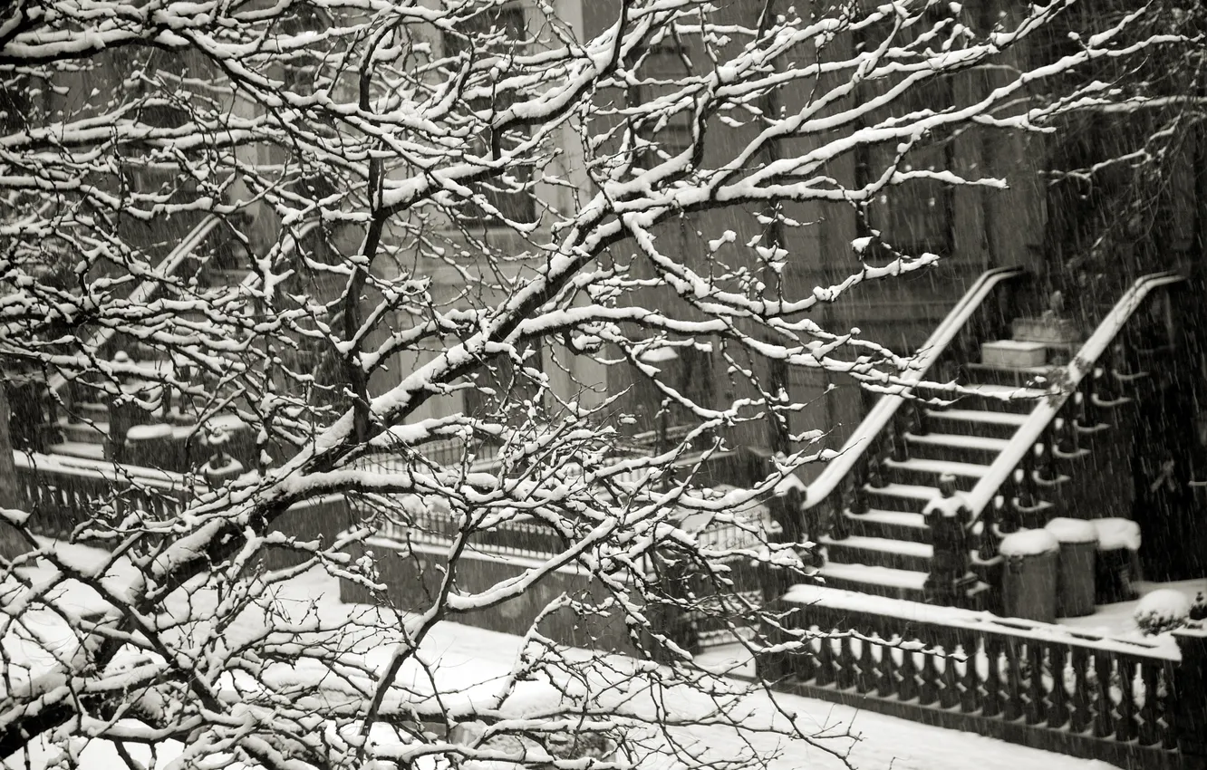 Фото обои зима, снег, ветки, забор, дома, лестница