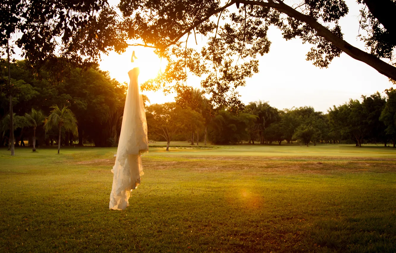Фото обои закат, дерево, платье, свадебное