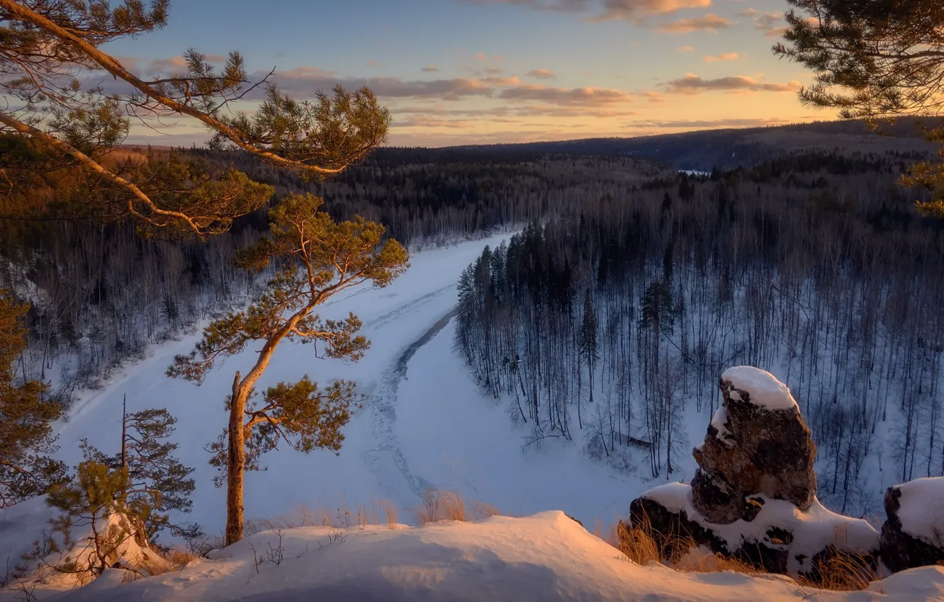 Фото обои зима, лес, снег, деревья, река, сосны, Россия, Урал