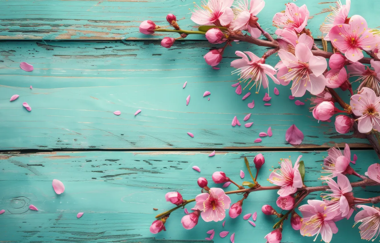 Фото обои цветы, вишня, ветка, весна, сакура, sunshine, цветение, wood