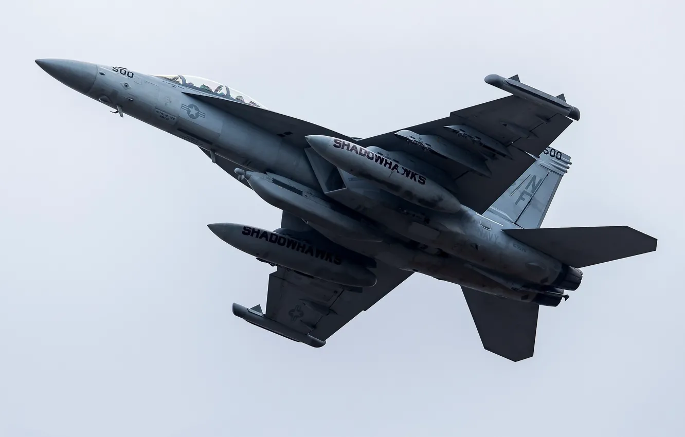 Фото обои небо, самолёт, F/A-18F Super Hornet, боевой самолёт, VAQ-141