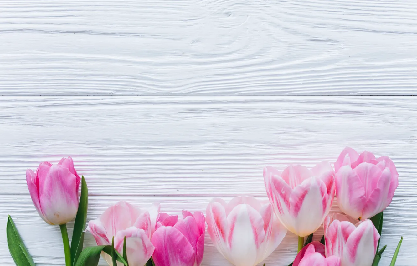 Фото обои цветы, тюльпаны, розовые, fresh, wood, pink, flowers, beautiful