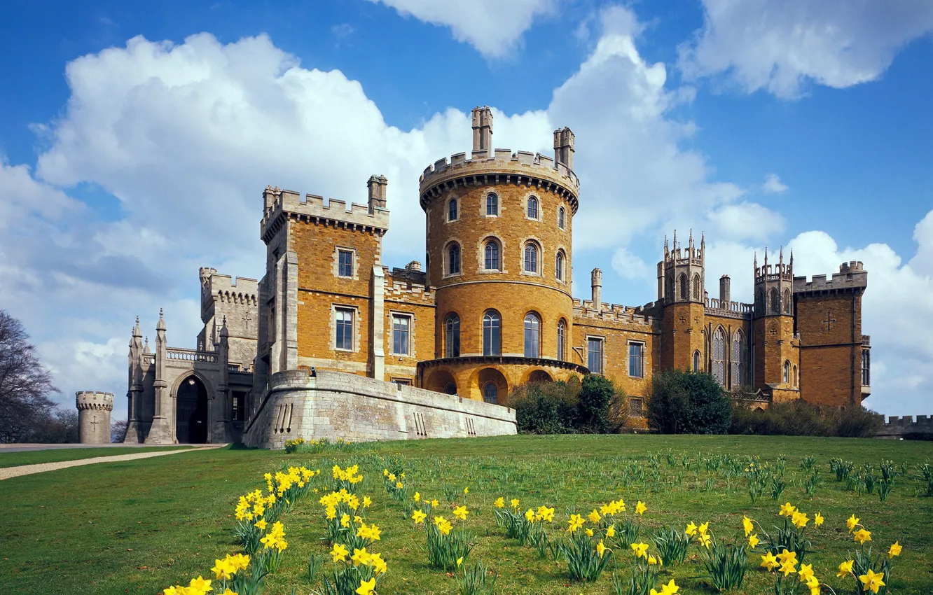 Фото обои цветы, замок, Англия, весна, England, Leicestershire, Belvoir castle