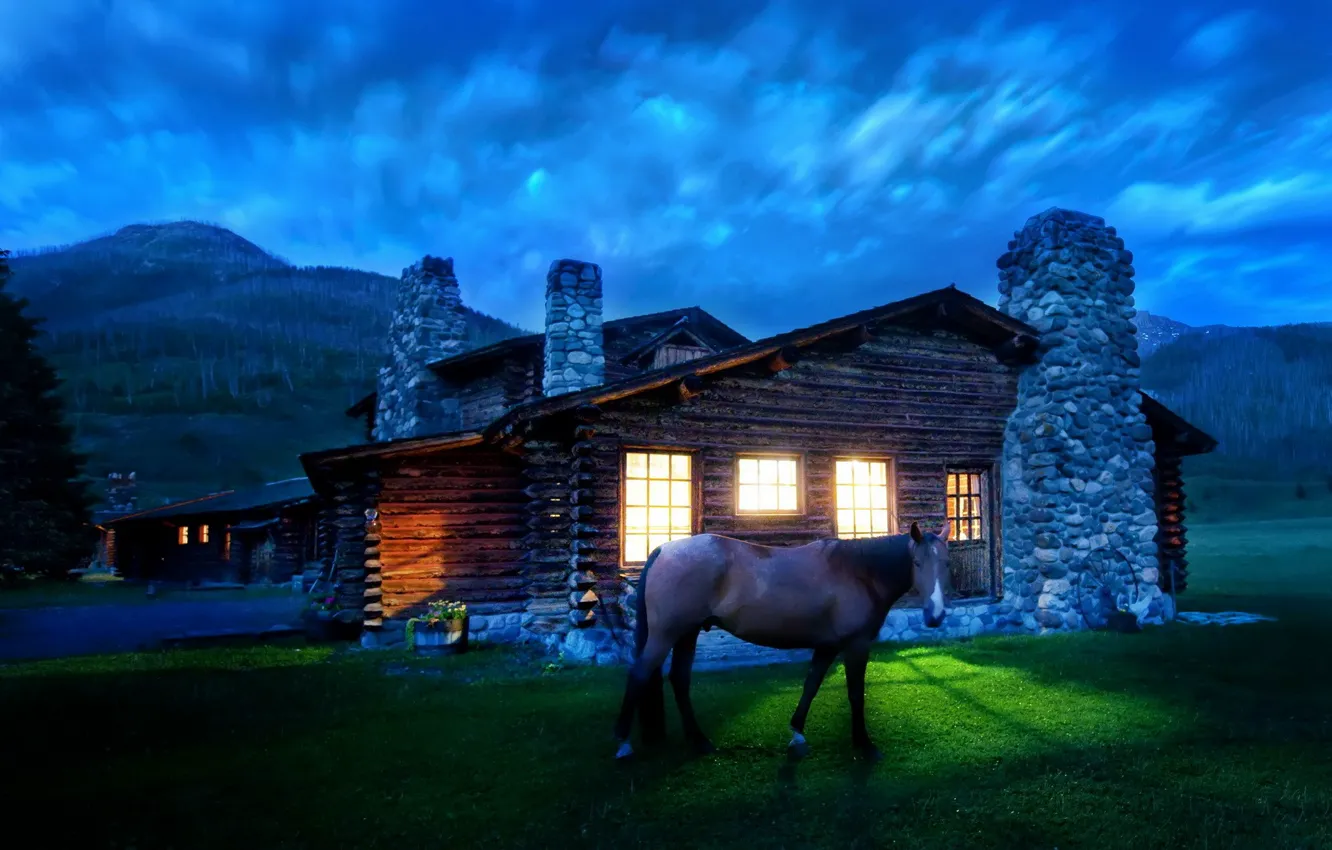Фото обои свет, лошадь, Дом