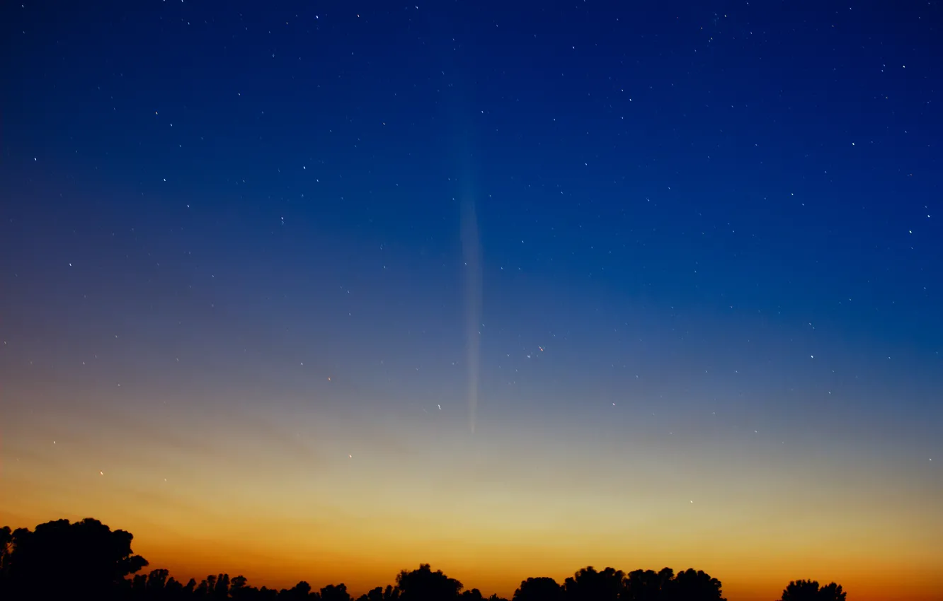 Фото обои звезды, рассвет, комета, Южное полушарие, Lovejoy