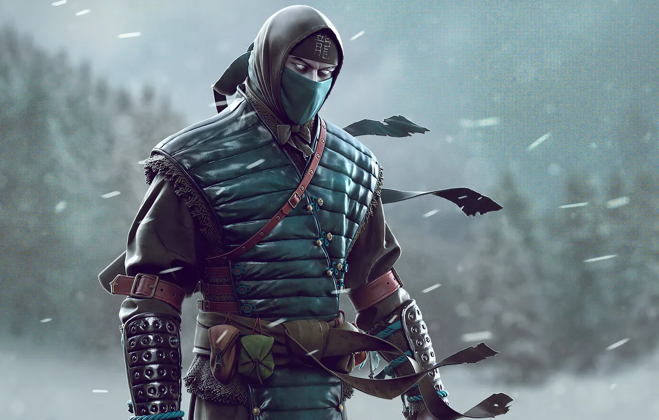 Фото обои ice, snow, Mortal Kombat, Scorpion, ninja, Sub-Zero, cool, mask