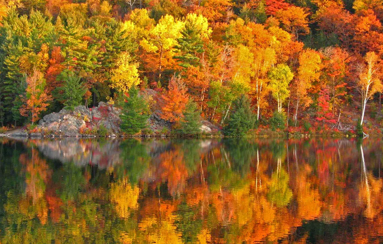 Фото обои осень, деревья, отражение, скалы, краски, склон, Канада, Онтарио