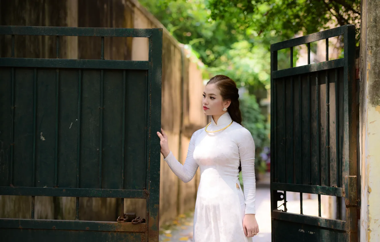 Фото обои девушка, лицо, ворота, платье
