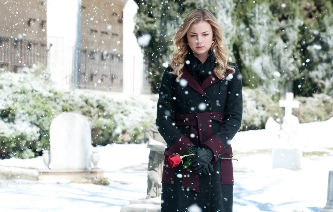 Фото обои цветок, снег, поза, роза, сериал, пальто, Emily VanCamp, Revenge