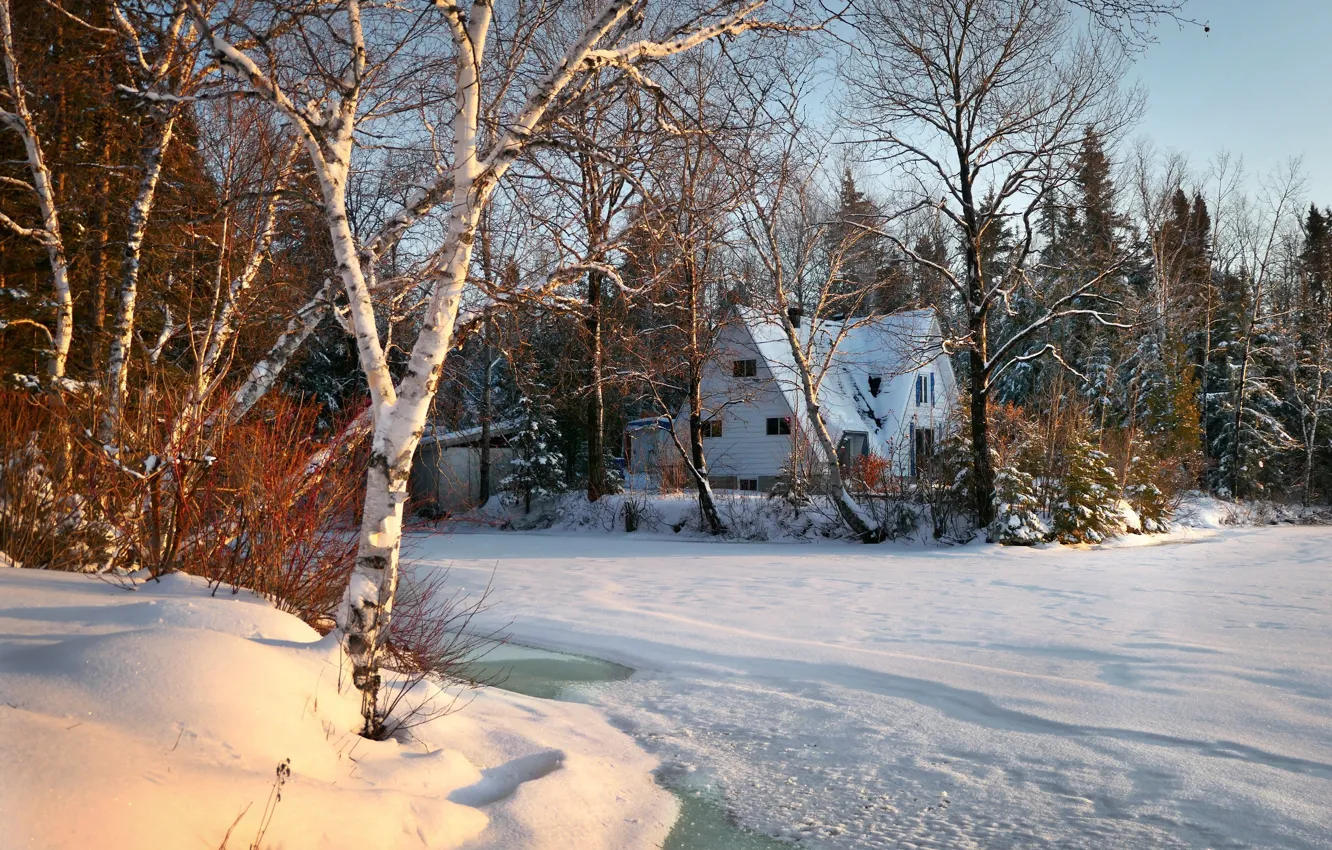 Фото обои зима, лес, снег, деревья, пейзаж, природа, озеро, дом