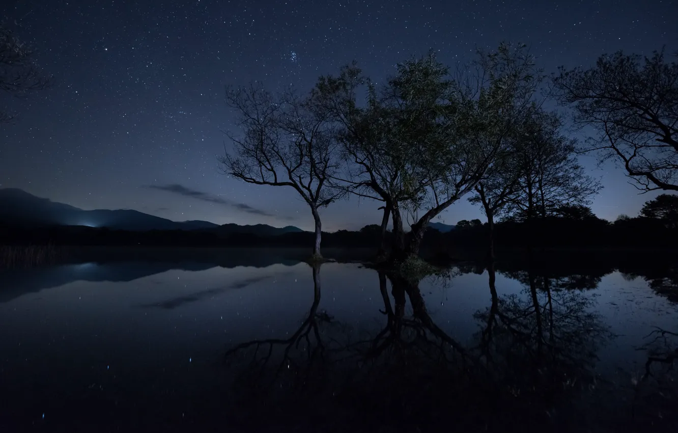 Фото обои небо, звезды, свет, деревья, ветки, озеро, отражение, зеркало