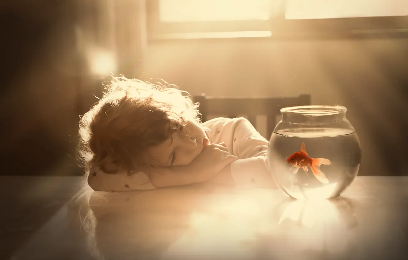 Фото обои аквариум, золотая рыбка, ребёнок