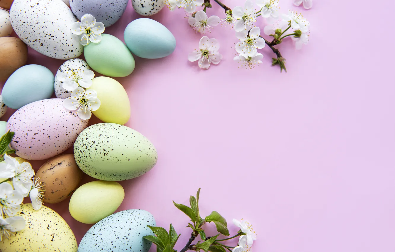 Фото обои цветы, яйца, весна, colorful, Пасха, happy, flowers, spring