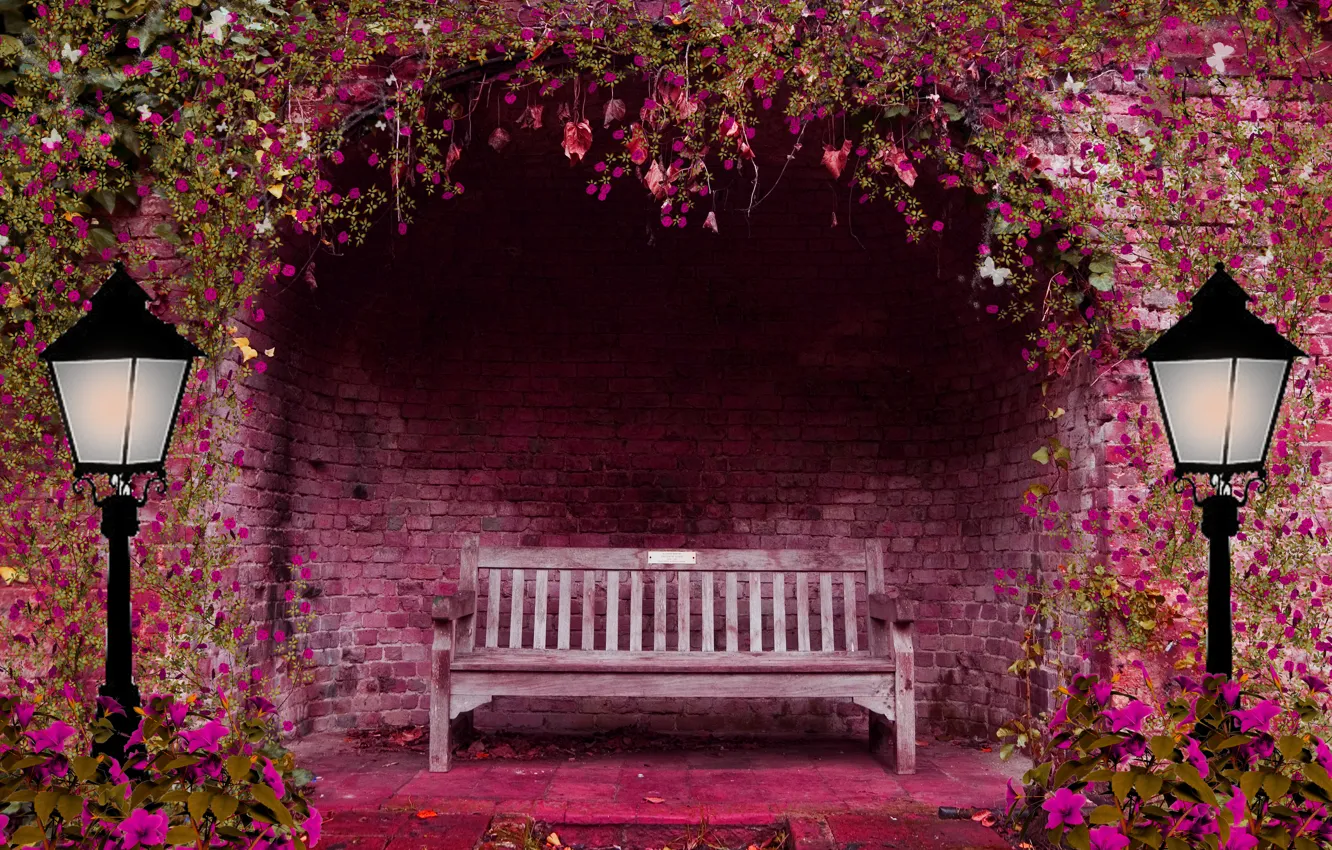 Фото обои цветы, скамейка, розовый, фонари, арка, весенний сад