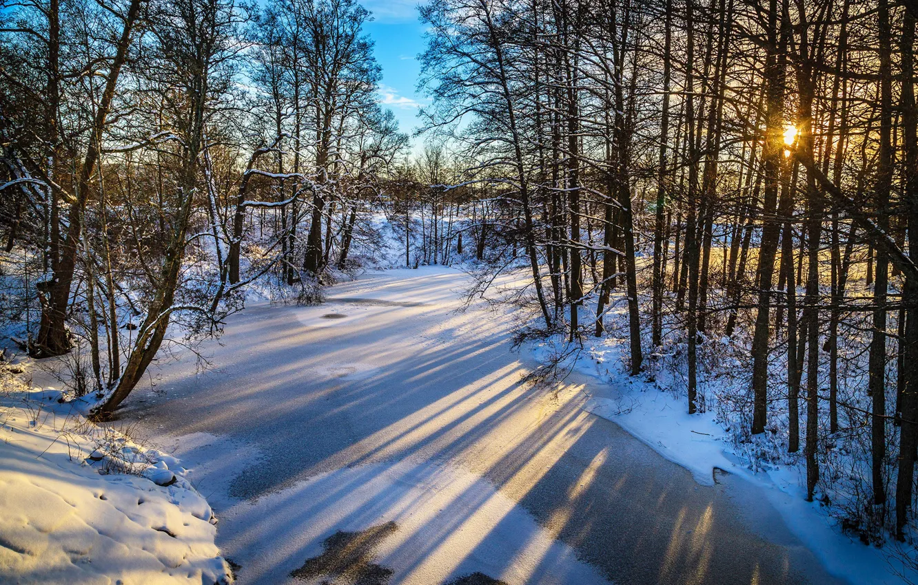 Фото обои лед, зима, небо, солнце, деревья, река, рассвет, тень