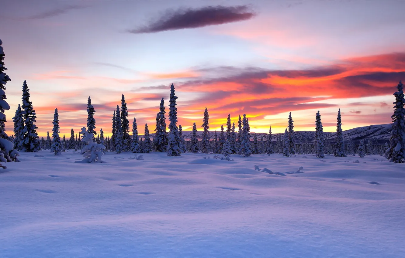 Фото обои зима, пейзаж, закат