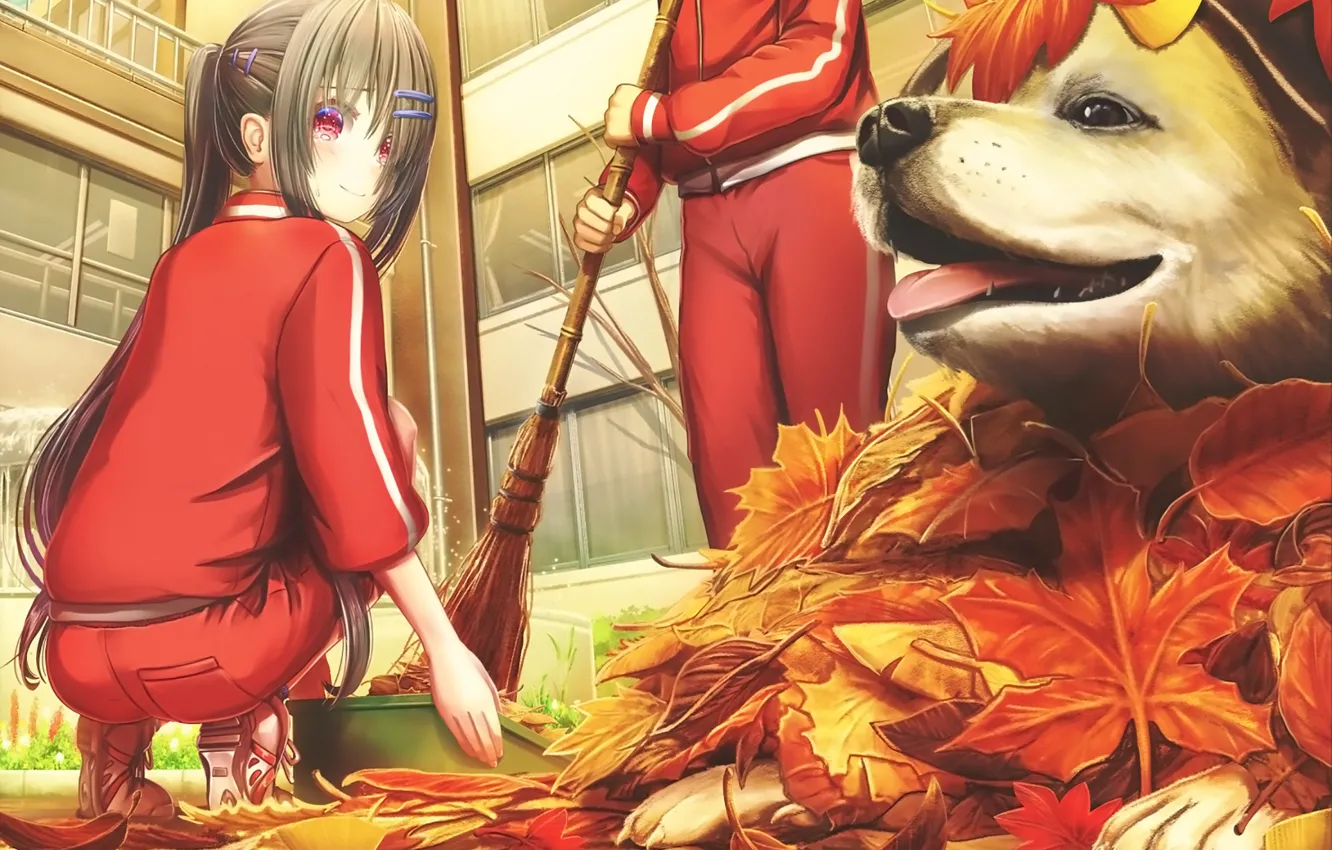 Фото обои осень, листья, девочки, собака, аниме