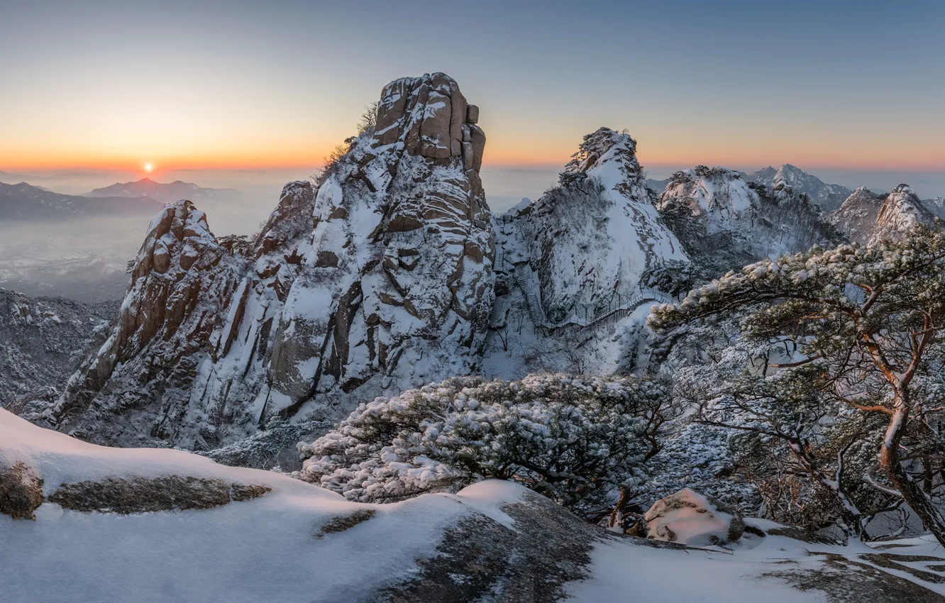 Фото обои зима, снег, деревья, пейзаж, горы, природа, утро, национальный парк